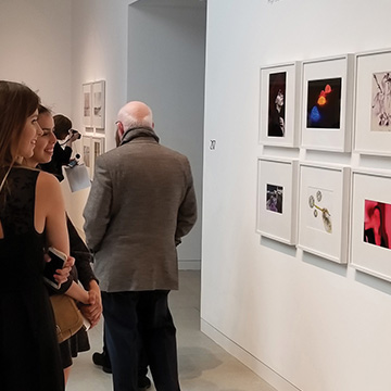 an overview, wide-angle shot of the gallery for the Shooting Stars 2024 exhibit at the Nerman Museum of Contemporary Art
